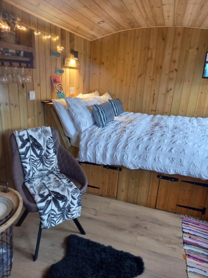 Stargazy Shepherds Hut St Ives 外观 照片